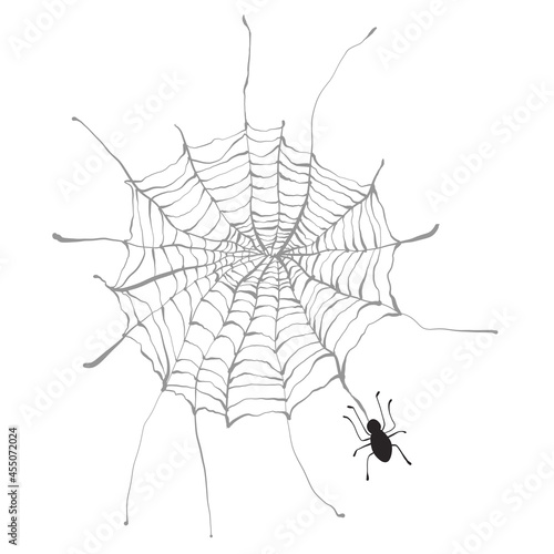 Drawn spider web with a spider holiday halloween. Doodle vector illustration use for festive decor decoration for postcards, poster, banner. Isolated on white background. 

