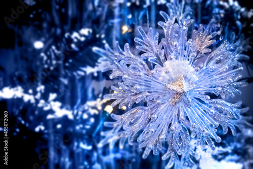 Christmas frozen star in blue winter lights