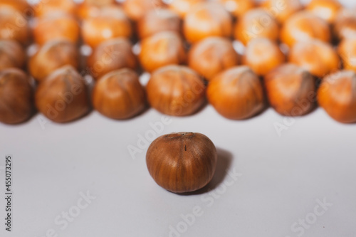 Nuts in shell, hazelnuts on a white background. heap or pile of nuts. Nuts background, healthy food