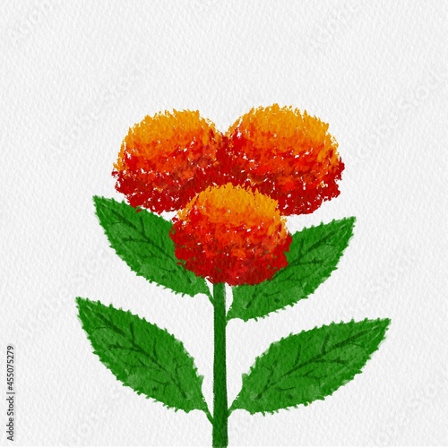 A tiny bouquet of red wild flowers isolated on white background. It’s 100 pounds paper textured