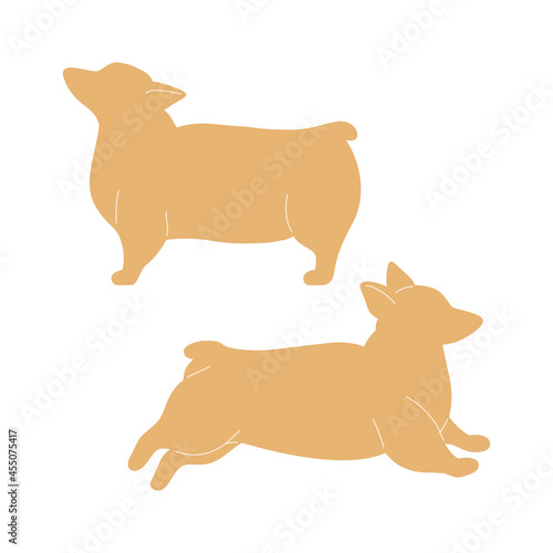 Set of cute little welsh corgi in different poses. Funny active dog. Happy pet side view.