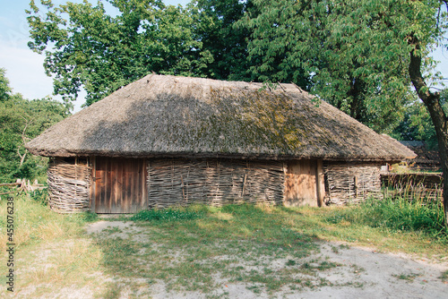 old rural house with thatched roof © Olena Svechkova