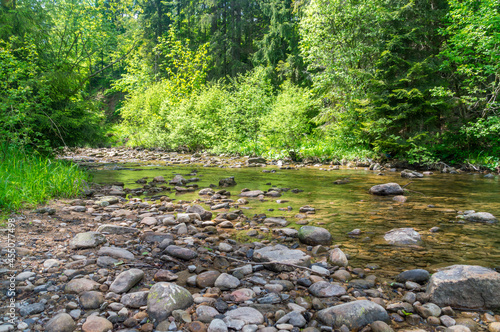 Czarna Wiselka - the source creek of the Vistula River. photo