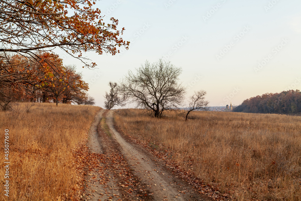 Fototapeta premium Dirt road between yellow dry grass