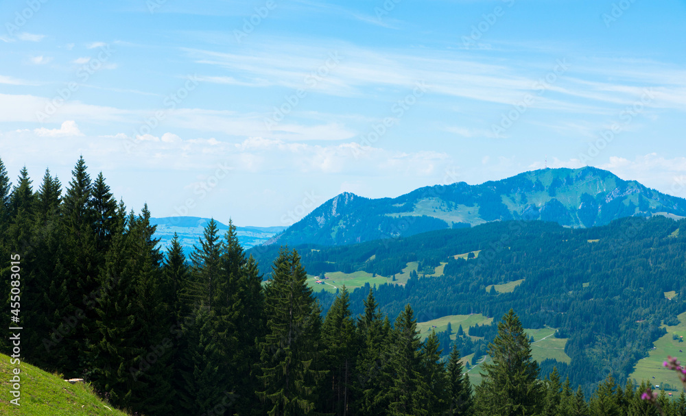 Idyllic landscape in the bavarian alps with view of the mountain sorgschrofen. Fresh green meadows and fir trees on a cloudy day. Mountain peaks in the background. Tannheimer valley, Austria