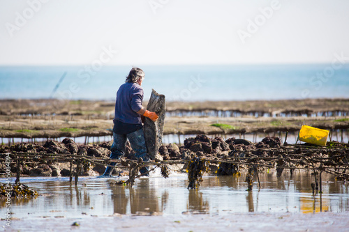 Ostréiculteurs en action