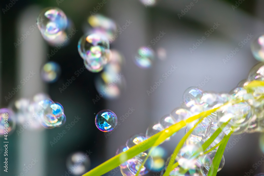 Water bubbles floating and falling on green leaves Water bubbles floating and falling on green leaves