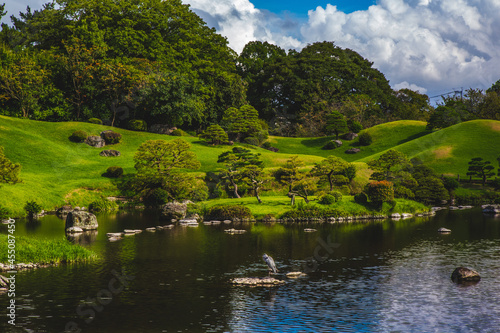 lake in the park