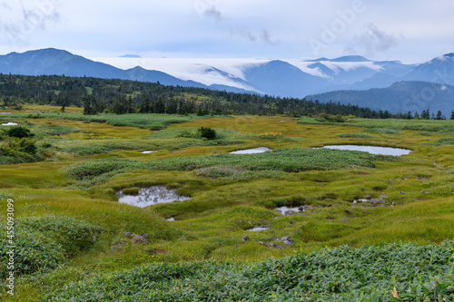 苗場山の山頂付近の湿原 © backpacker