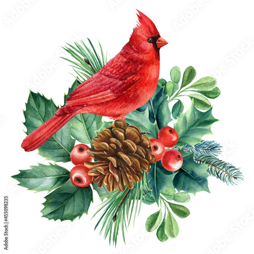 Fotografia, Obraz Red cardinal