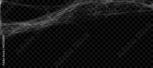 Realistic spider web. Hanging cobweb for halloween design. Vector illustration.