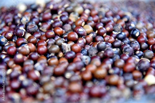 Old black beans of winged bean vegetable,Indonesian names 