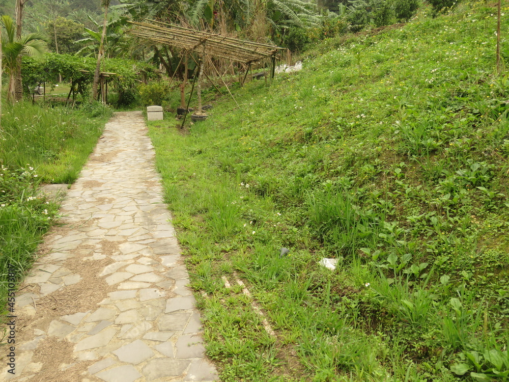 Obraz premium Country road