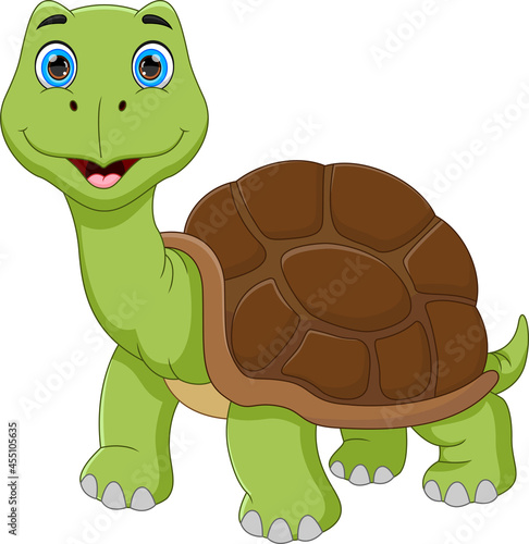 funny turtle cartoon isolated on white background