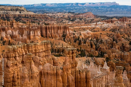 View to the hoodoos in the Bryce Canyon