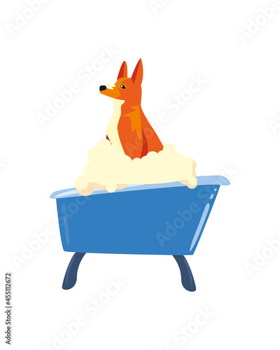 dog bathing in blue tub