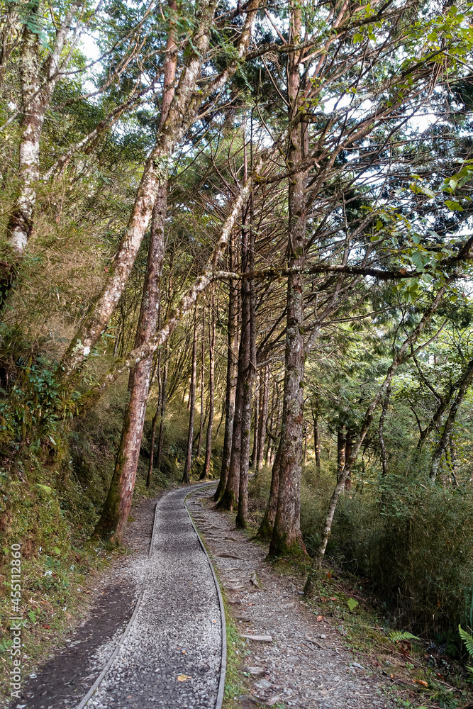 Forest trail rebuilt from old railway relics Forest trail rebuilt from old railway relics