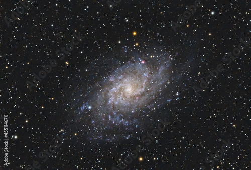 Fototapeta Naklejka Na Ścianę i Meble -  The Triangulum Galaxy M33  in the Triangulum constellation  with Nebula ,Open Cluster, Globular Cluster and stars, as seen from Tuscany, Italy with a refracting telescope and a cooled camera