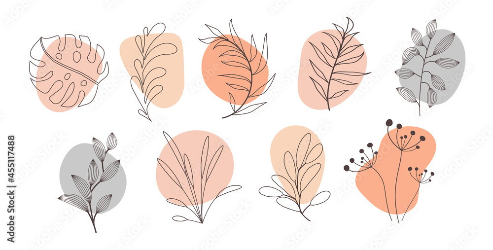 Abstract organic story highlight cover templates isolated on white background. Botanical illustration in neutral earth tone colors. Hipster design elements set Abstract organic story highlight cover templates isolated on white background. Botanical illustration in neutral earth tone colors. Hipster design elements set