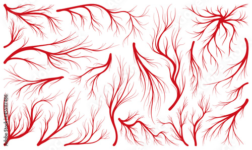 Vein of human vector line icon set . Collection vector illustration artery of blood on white background. Isolated line illustration icon set of vein for web design.