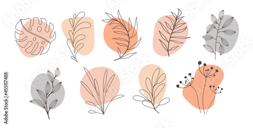 Abstract organic story highlight cover templates isolated on white background. Botanical illustration in neutral earth tone colors. Hipster design elements set