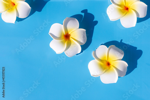 Tropical flowers on a blue water background. Top view, flat lay