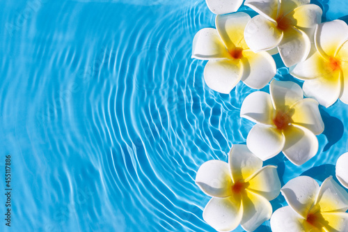 Tropical flowers on a blue water background. Top view, flat lay