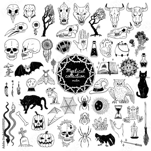 Big vector hand drawn set of mystical, occult, boho and witchcraft elements.