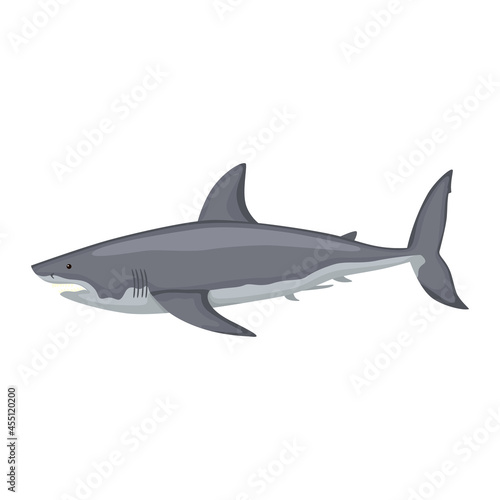 White shark isolated on white background. Cartoon character of ocean for children.