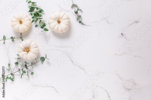 White pumpkins with eucalyptus branches on white background