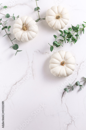 White pumpkins with eucalyptus branches on white background