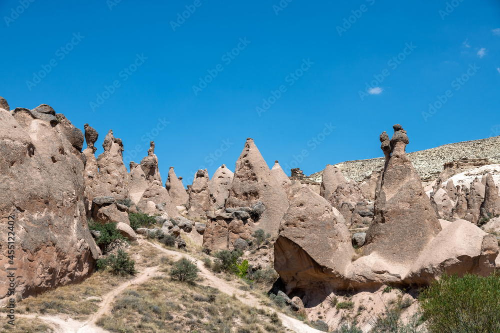 Magical shaps at the Devrent Valley, Cappadocia, Nevsehir, Turkey