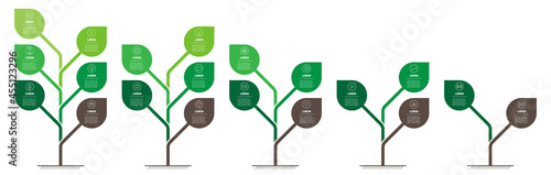 Infographs. Set of Vertical info graphics or timelines with 2, 3, 4, 5 and 6 parts. Trees with leaves. Development and growth of the green technology. Business presentation with five steps.