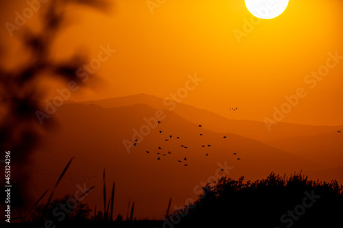 The silhouette of the mountains against the background of the sun. Sunrise or sunset with the silhouette of birds.