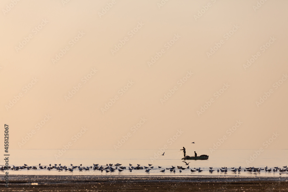 Silhouette of fishermen on a boat. Fishermen at sunset against the background of birds. Seagulls sit on the shore of the lake.