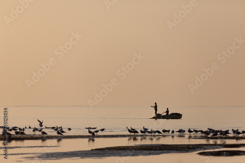 Silhouette of fishermen on a boat. Fishermen at sunset against the background of birds. Seagulls sit on the shore of the lake.