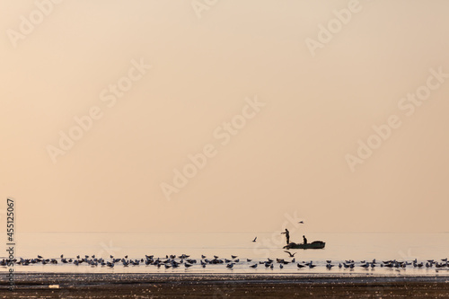 Silhouette of fishermen on a boat. Fishermen at sunset against the background of birds. Seagulls sit on the shore of the lake.