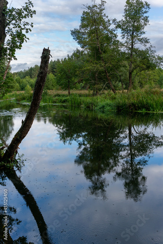 Small forest river in Mink region Belarus
 photo