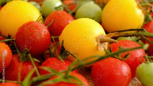 Tomato. Red, green and yellow fresh tomatoes close-up. Healthy vegetables food background.