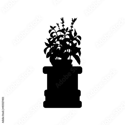 Silhouette Indian traditional holy basil pot
