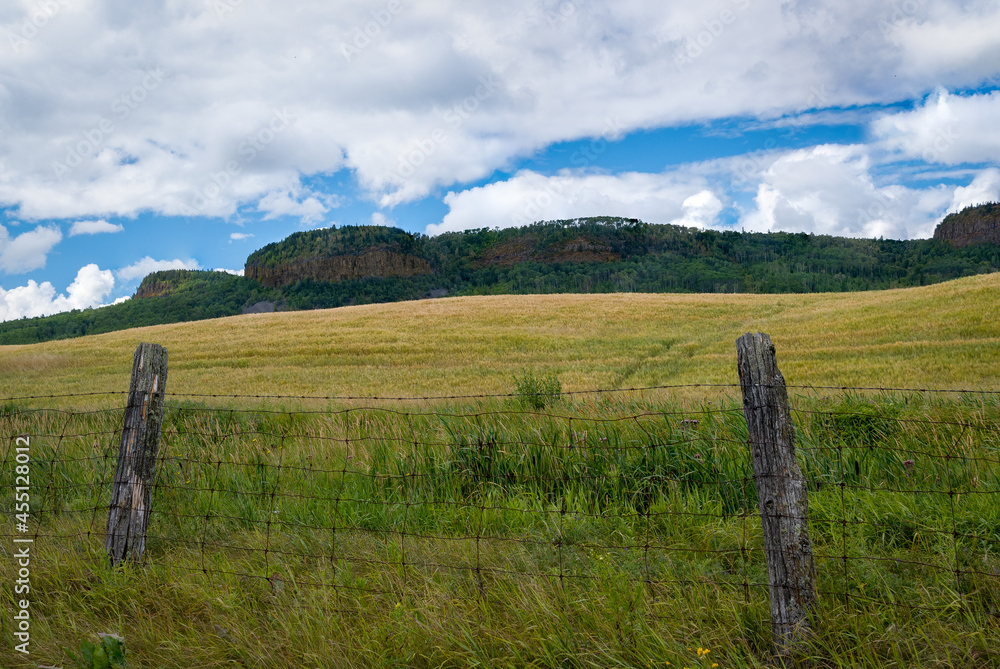 WHEAT FIELD AND FENCE POSTS UNDER CANADIAN SHALE CLIFFS