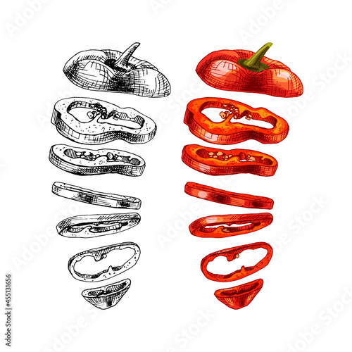 Flying pieces of sweet red bell pepper. Vector vintage hatching color illustration.
