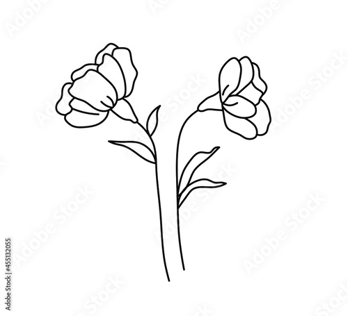 Vector isolated cute simple contour doodle carnation blossom hand drawing floral herbal sketch. Colorless black line simple outline drawing herbal flower decorative element.