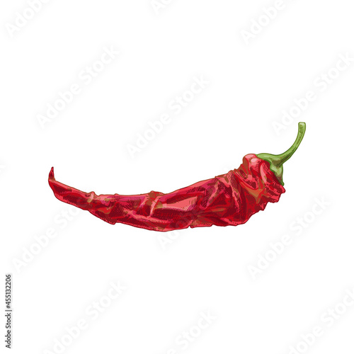 Whole dry pepper chilli. Vintage hatching illustration.