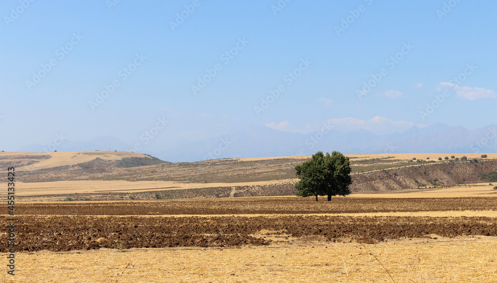 Autumn landscape from nature of Azerbaijan. Agricultural field after harvesting cereal