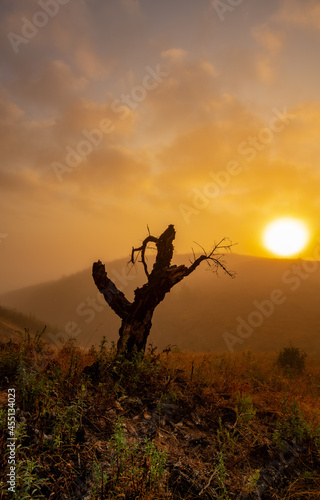 Sunrise in the mountains. 