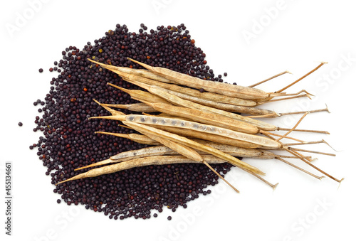 Dry rapeseed and seeds.