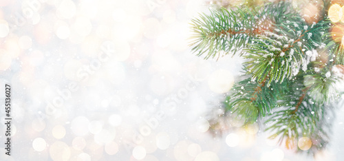 Christmas greeting card with fir tree branches covered by snow