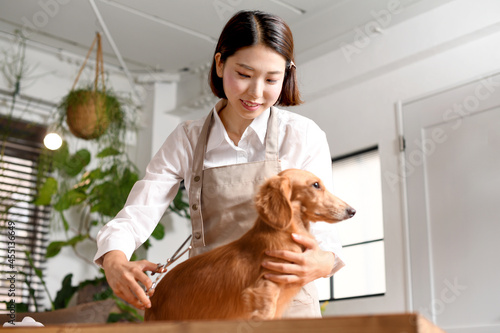 犬（ペット）のトリミングやカットをするトリマーの若い女性 