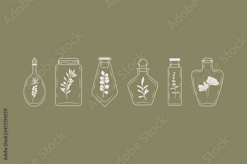 A set of bottles with rosemary, eucalyptus, olive, lavender, sea buckthorn.